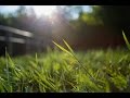 Turning grass into green gas | Sustainable Energy