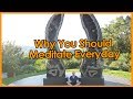 Why You Should Meditate Everyday… (Not Why You Think)