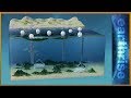 🌏 Farming underwater: 3D solutions for land and sea | Earthrise