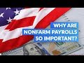 Why Are Nonfarm Payrolls So Important?