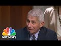 Fauci Warns U.S. Coronavirus Cases Could Increase To 100,000 A Day | NBC Nightly News