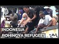 Indonesian community rescues stranded Rohingya refugees