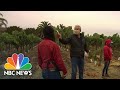 California Farmworkers Hit By Coronavirus, Putting Spotlight On Housing Crisis | NBC Nightly News