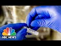 Can People Be Reinfected With Coronavirus? | NBC Nightly News