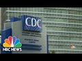 Hundreds Test Positive For Coronavirus At Georgia Summer Camp | NBC Nightly News