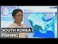 S Korea fishing: Surge of freshwater threatening Jeju coastline