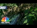 Severe Storm System Causes Destruction Across At Least Nine States | NBC Nightly News