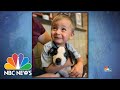 Boy, Puppy Bond Through Similar Struggle | NBC Nightly  News