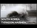 Typhoon topples trees, knocks out power in South Korea