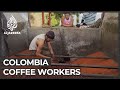Colombia coffee farms face worst worker shortage in years