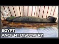Egypt unveils 3,000-year-old coffins at Saqqara necropolis