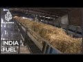 Indians burn leftover straw to produce electricity