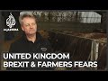 UK farmers worried over effects of Brexit on agriculture