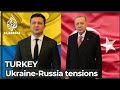 Erdogan urges end to Ukraine tension, offers Turkey’s support