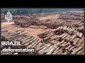 Brazil deforestation crisis likely to be worsened by drought, fires