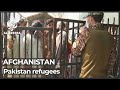 Afghan refugees urged to cross Pakistan land borders