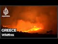 Greece wildfires: North Athens fire rekindles, burning homes