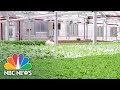 First Underground Farm To  Launch in 2022 Could Be Industry Game-Changer