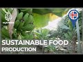Planet SOS: Iceland pioneering sustainable food production
