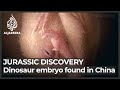 Flawlessly preserved 66-million-years-old dinosaur embryo found in China