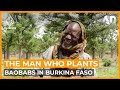 The Man Who Plants Baobabs: A Burkina Faso hero | Africa Direct
