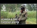 Uganda and DR Congo join forces to fight a common enemy