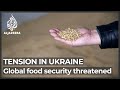 Renewed conflict in Ukraine could trigger a food supply crisis