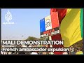 Thousands in Mali celebrate expulsion of French ambassador