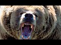 Friday’s stock market close indicates 'classic bear market': Strategist