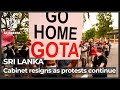 Sri Lankan cabinet resigns en masse as crisis deepens