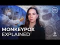 What is monkeypox and should we be worried? | Start Here