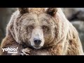 Bear market: What historically happens next