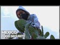 Mexican government encourages locally grown crops