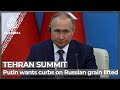 Remaining curbs on Russia grain exports should be removed: Putin