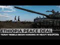 Ethiopia’s Tigrayan rebels start handing over heavy weapons