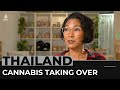 Pressure mounting in Thailand to regulate marijuana use