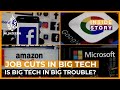 Why are so many jobs being shed in Big Tech sector worldwide? | Inside Story