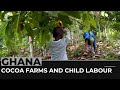 Why is the cocoa industry still using child workers in Ghana?