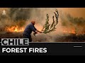 Chile wildfires spread as death toll rises