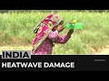 India heat wave: Crops destroyed amid soaring temperatures