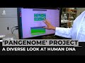 New 'Pangenome' project reveals diverse look at human DNA