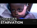 Nigeria malnutrition: Aid groups warn of children in danger