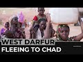 Sudan: Thousands flee into Chad as West Darfur violence escalates