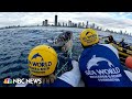 Watch: Humpback whale freed from shark net in Australia