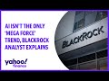 AI isn't the only 'mega force' trend, BlackRock analyst explains
