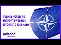 Turkey agrees to support Sweden's efforts to join NATO
