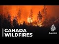 ‘Grim situation’ in Canada’s British Columbia as wildfires intensify