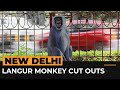 Langur cut-outs planted around Delhi to scare off monkeys ahead of G20 | AJ #shorts