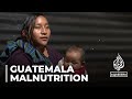 Malnutrition crisis looms over Guatemala before elections