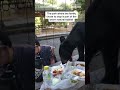 Family picnic in Mexico interrupted by hungry black bear